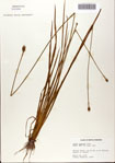 000072397-thumbnail.jpg