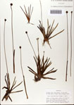 000072420-thumbnail.jpg
