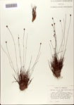 000072423-thumbnail.jpg