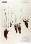 000072424-thumbnail.jpg