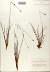 000072426-thumbnail.jpg