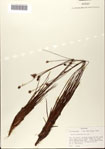 000072427-thumbnail.jpg