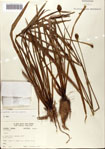 000072430-thumbnail.jpg