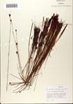 000072432-thumbnail.jpg