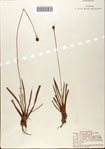 000072434-thumbnail.jpg