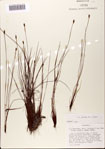 000072436-thumbnail.jpg