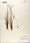 000072437-thumbnail.jpg