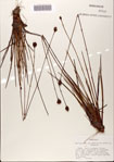 000072440-thumbnail.jpg