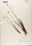 000072441-thumbnail.jpg