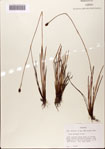 000072442-thumbnail.jpg