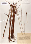 000072444-thumbnail.jpg