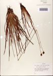 000072445-thumbnail.jpg