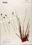000072446-thumbnail.jpg