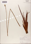 000072447-thumbnail.jpg