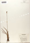 000072450-thumbnail.jpg