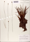 000072452-thumbnail.jpg