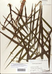 000072630-thumbnail.jpg