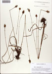 000072650-thumbnail.jpg