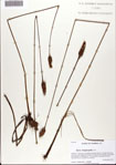 000072652-thumbnail.jpg