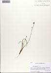000072653-thumbnail.jpg