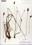 000072654-thumbnail.jpg