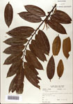 000072801-thumbnail.jpg