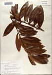 000072802-thumbnail.jpg