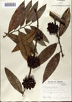 000072803-thumbnail.jpg