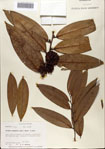 000072806-thumbnail.jpg