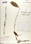 000072910-thumbnail.jpg
