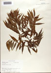 000072913-thumbnail.jpg
