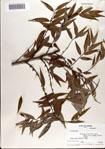 000072915-thumbnail.jpg