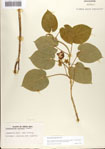 000073270-thumbnail.jpg