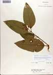 000075632-thumbnail.jpg