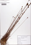 000076135-thumbnail.jpg