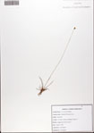 000076140-thumbnail.jpg