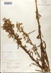 000076194-thumbnail.jpg