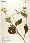 000076345-thumbnail.jpg