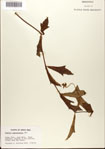 000076354-thumbnail.jpg