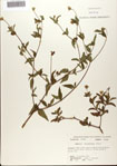 000076358-thumbnail.jpg