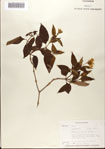 000076362-thumbnail.jpg