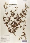 000076364-thumbnail.jpg