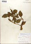 000076366-thumbnail.jpg