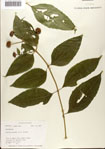 000076375-thumbnail.jpg