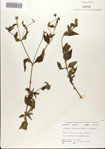 000076390-thumbnail.jpg