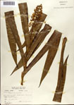000076846-thumbnail.jpg