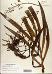 000076847-thumbnail.jpg