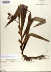 000076848-thumbnail.jpg