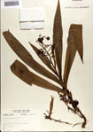000076850-thumbnail.jpg