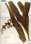 000076851-thumbnail.jpg